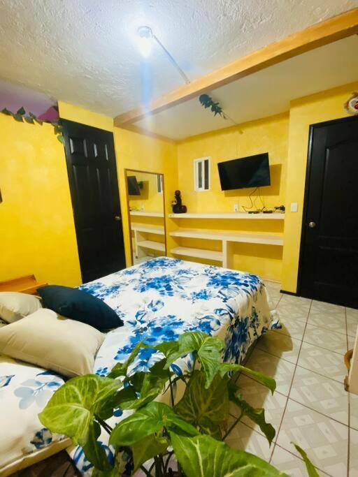 Casa Camilo - Cozy, Beautiful And Nice Separe Room San Miguel de Allende Exterior foto